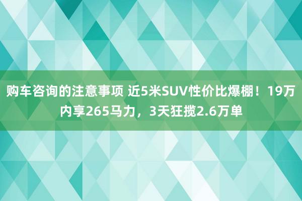 购车咨询的注意事项 近5米SUV性价比爆棚！19万内享265马力，3天狂揽2.6万单