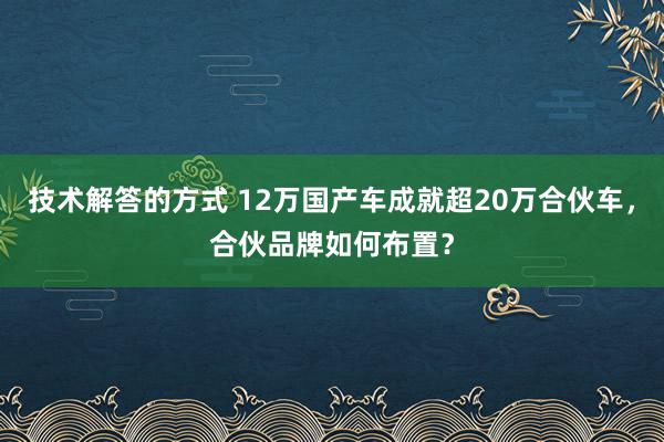 技术解答的方式 12万国产车成就超20万合伙车，合伙品牌如何布置？