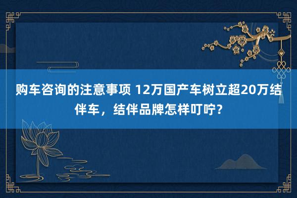 购车咨询的注意事项 12万国产车树立超20万结伴车，结伴品牌怎样叮咛？