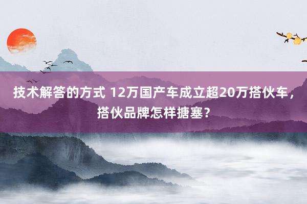 技术解答的方式 12万国产车成立超20万搭伙车，搭伙品牌怎样搪塞？