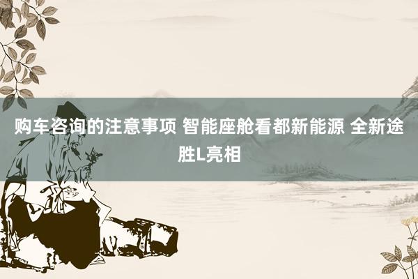 购车咨询的注意事项 智能座舱看都新能源 全新途胜L亮相