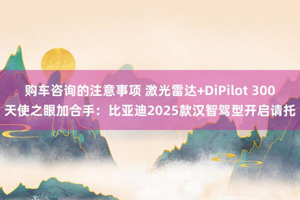 购车咨询的注意事项 激光雷达+DiPilot 300天使之眼加合手：比亚迪2025款汉智驾型开启请托