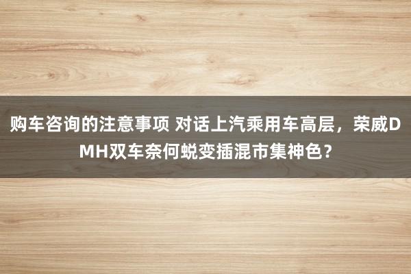 购车咨询的注意事项 对话上汽乘用车高层，荣威DMH双车奈何蜕变插混市集神色？