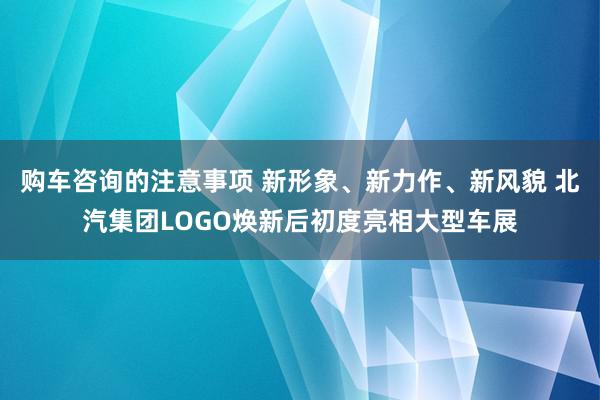 购车咨询的注意事项 新形象、新力作、新风貌 北汽集团LOGO焕新后初度亮相大型车展