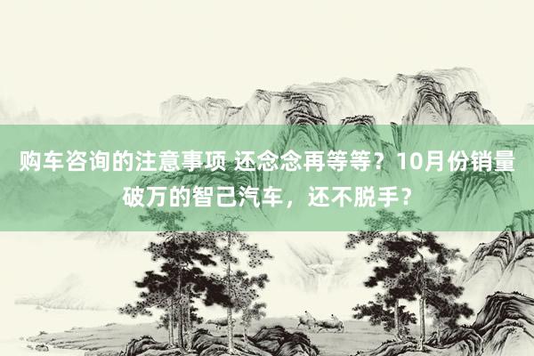 购车咨询的注意事项 还念念再等等？10月份销量破万的智己汽车，还不脱手？