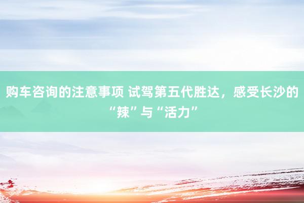 购车咨询的注意事项 试驾第五代胜达，感受长沙的“辣”与“活力”