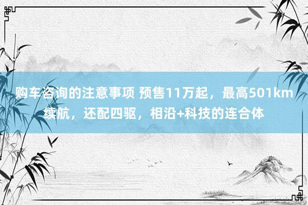 购车咨询的注意事项 预售11万起，最高501km续航，还配四驱，相沿+科技的连合体