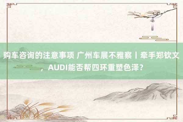 购车咨询的注意事项 广州车展不雅察丨牵手郑钦文，AUDI能否帮四环重塑色泽？