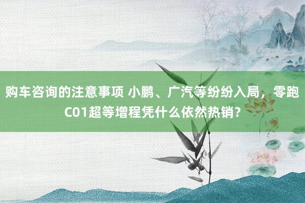 购车咨询的注意事项 小鹏、广汽等纷纷入局，零跑C01超等增程凭什么依然热销？