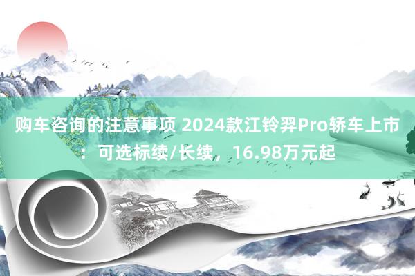 购车咨询的注意事项 2024款江铃羿Pro轿车上市：可选标续/长续，16.98万元起