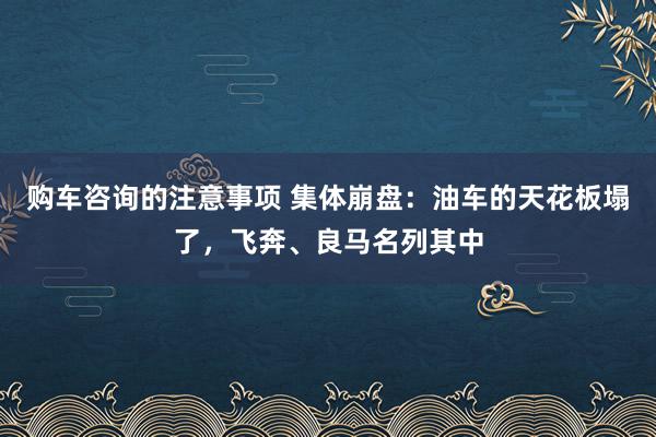 购车咨询的注意事项 集体崩盘：油车的天花板塌了，飞奔、良马名列其中