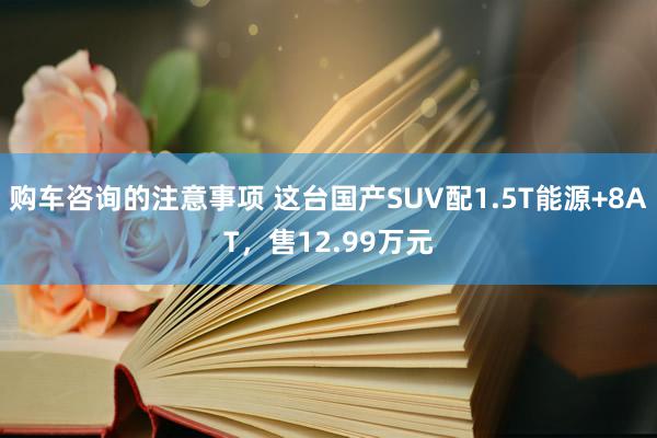 购车咨询的注意事项 这台国产SUV配1.5T能源+8AT，售12.99万元