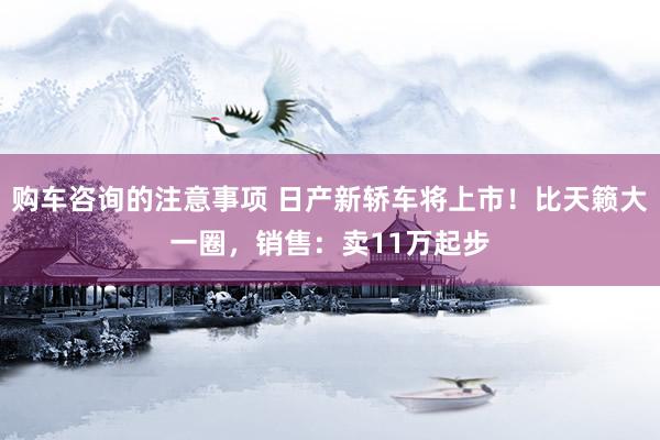 购车咨询的注意事项 日产新轿车将上市！比天籁大一圈，销售：卖11万起步