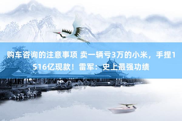 购车咨询的注意事项 卖一辆亏3万的小米，手捏1516亿现款！雷军：史上最强功绩