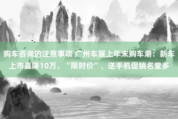 购车咨询的注意事项 广州车展上年末购车潮：新车上市直降10万，“限时价”、送手机促销名堂多