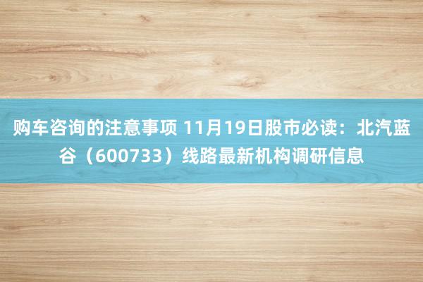 购车咨询的注意事项 11月19日股市必读：北汽蓝谷（600733）线路最新机构调研信息