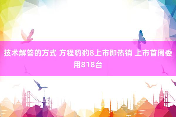 技术解答的方式 方程豹豹8上市即热销 上市首周委用818台