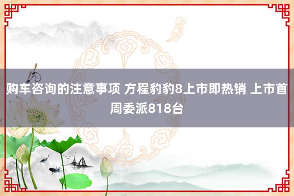 购车咨询的注意事项 方程豹豹8上市即热销 上市首周委派818台