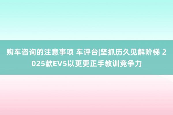 购车咨询的注意事项 车评台|坚抓历久见解阶梯 2025款EV5以更更正手教训竞争力