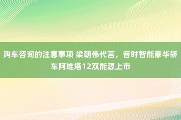 购车咨询的注意事项 梁朝伟代言，昔时智能豪华轿车阿维塔12双能源上市