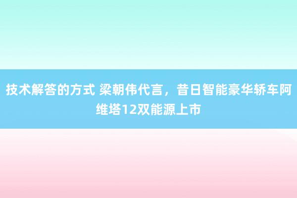 技术解答的方式 梁朝伟代言，昔日智能豪华轿车阿维塔12双能源上市