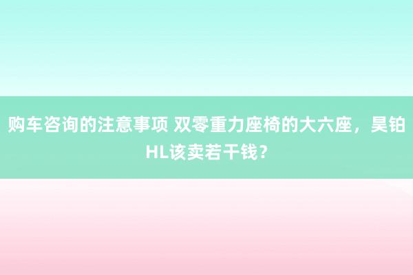 购车咨询的注意事项 双零重力座椅的大六座，昊铂HL该卖若干钱？