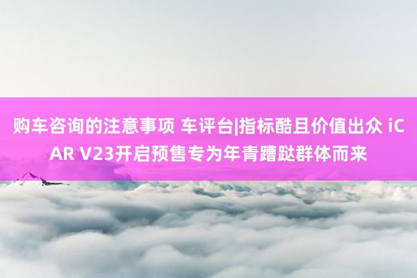 购车咨询的注意事项 车评台|指标酷且价值出众 iCAR V23开启预售专为年青蹧跶群体而来