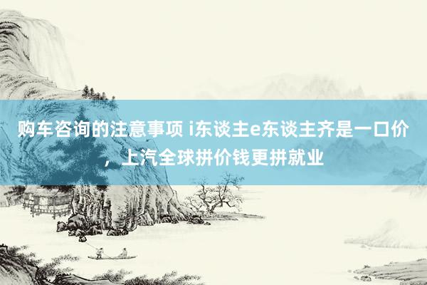 购车咨询的注意事项 i东谈主e东谈主齐是一口价，上汽全球拼价钱更拼就业