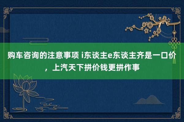 购车咨询的注意事项 i东谈主e东谈主齐是一口价，上汽天下拼价钱更拼作事