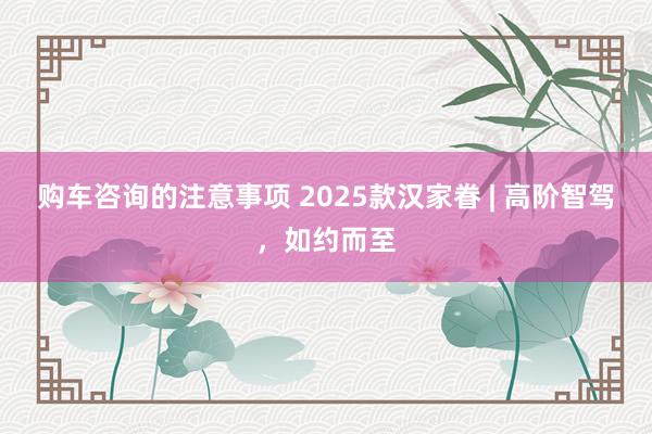 购车咨询的注意事项 2025款汉家眷 | 高阶智驾，如约而至