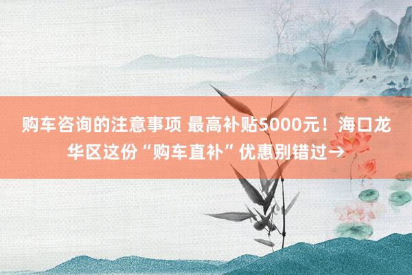 购车咨询的注意事项 最高补贴5000元！海口龙华区这份“购车直补”优惠别错过→