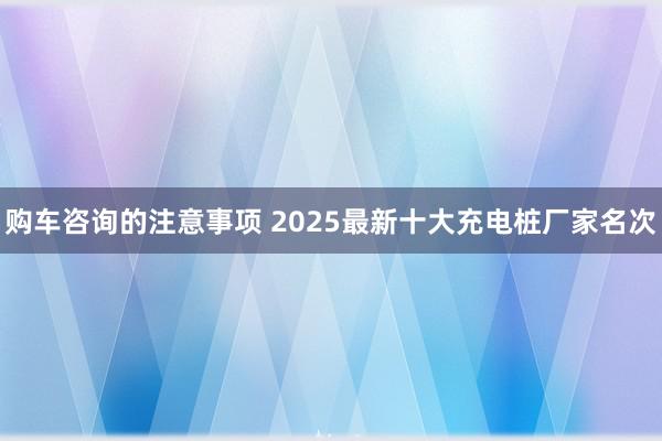 购车咨询的注意事项 2025最新十大充电桩厂家名次