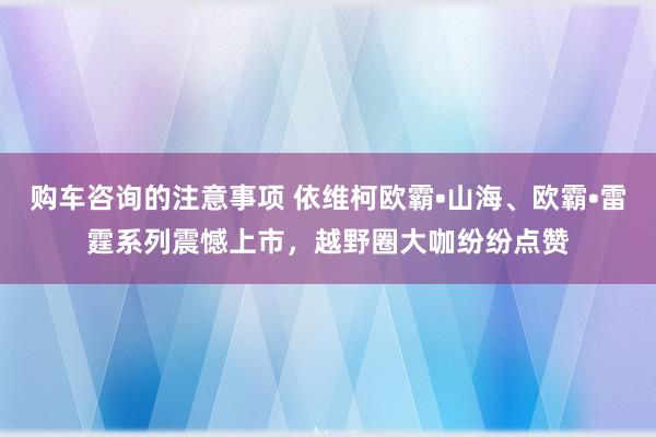 购车咨询的注意事项 依维柯欧霸•山海、欧霸•雷霆系列震憾上市，越野圈大咖纷纷点赞