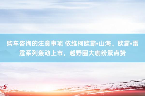 购车咨询的注意事项 依维柯欧霸•山海、欧霸•雷霆系列轰动上市，越野圈大咖纷繁点赞