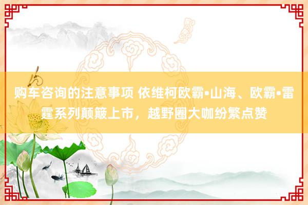 购车咨询的注意事项 依维柯欧霸•山海、欧霸•雷霆系列颠簸上市，越野圈大咖纷繁点赞