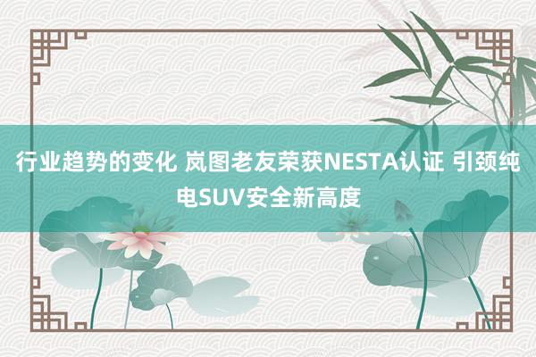 行业趋势的变化 岚图老友荣获NESTA认证 引颈纯电SUV安全新高度