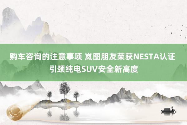 购车咨询的注意事项 岚图朋友荣获NESTA认证 引颈纯电SUV安全新高度