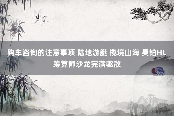 购车咨询的注意事项 陆地游艇 揽境山海 昊铂HL筹算师沙龙完满驱散