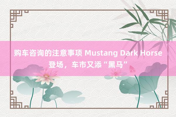 购车咨询的注意事项 Mustang Dark Horse登场，车市又添“黑马”