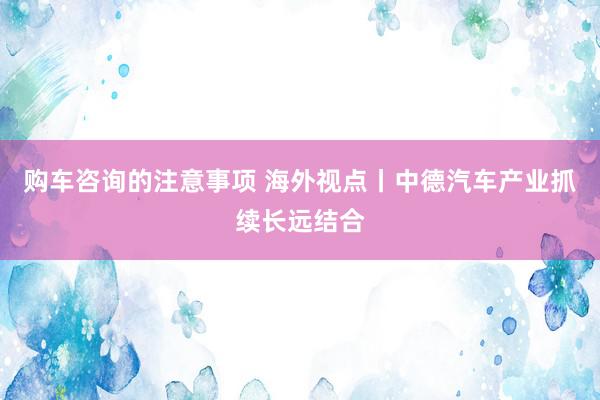 购车咨询的注意事项 海外视点丨中德汽车产业抓续长远结合