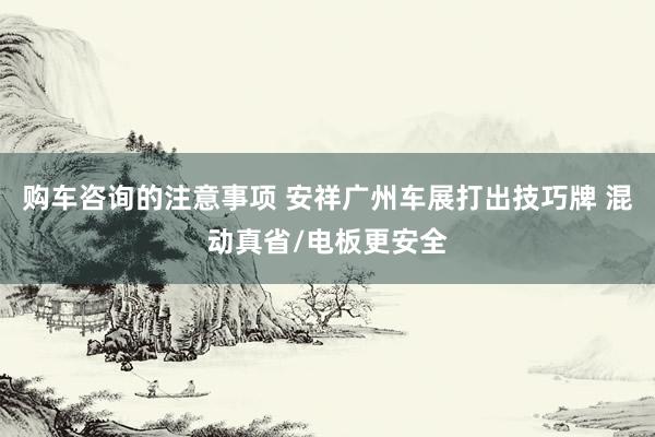 购车咨询的注意事项 安祥广州车展打出技巧牌 混动真省/电板更安全