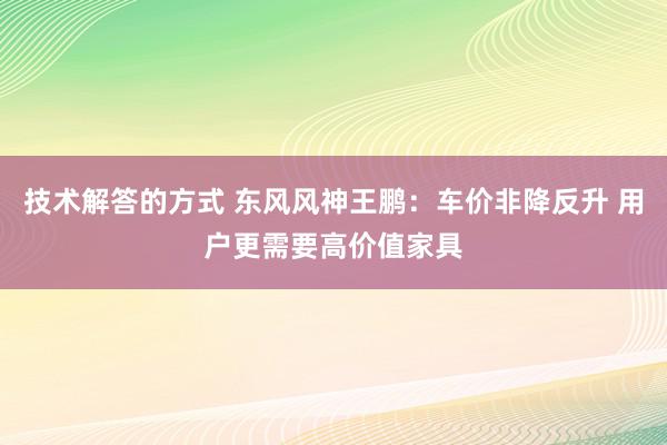 技术解答的方式 东风风神王鹏：车价非降反升 用户更需要高价值家具