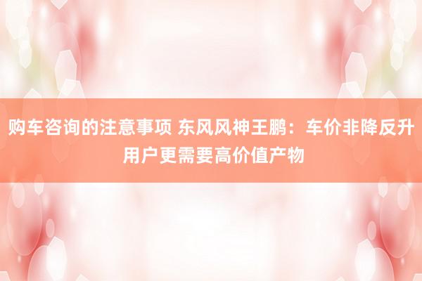 购车咨询的注意事项 东风风神王鹏：车价非降反升 用户更需要高价值产物