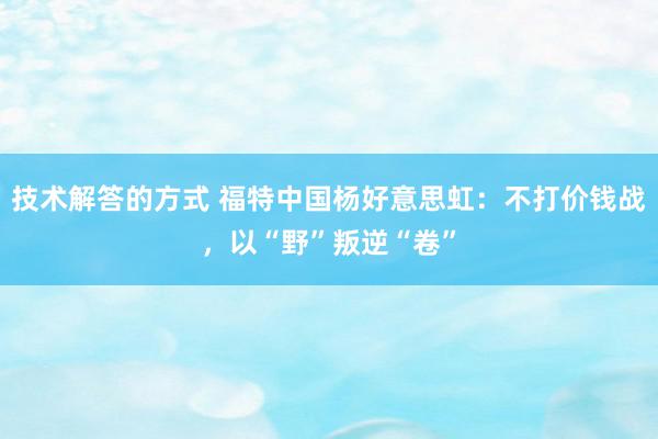 技术解答的方式 福特中国杨好意思虹：不打价钱战，以“野”叛逆“卷”