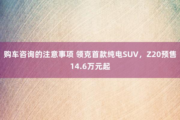 购车咨询的注意事项 领克首款纯电SUV，Z20预售14.6万元起