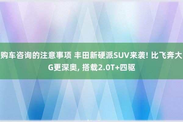 购车咨询的注意事项 丰田新硬派SUV来袭! 比飞奔大G更深奥, 搭载2.0T+四驱