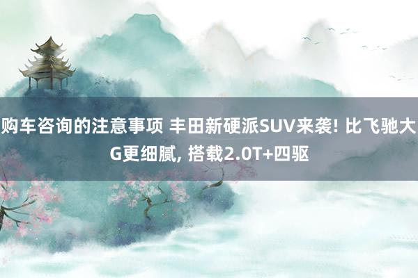 购车咨询的注意事项 丰田新硬派SUV来袭! 比飞驰大G更细腻, 搭载2.0T+四驱