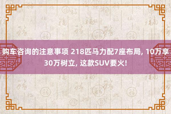 购车咨询的注意事项 218匹马力配7座布局, 10万享30万树立, 这款SUV要火!