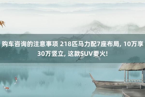 购车咨询的注意事项 218匹马力配7座布局, 10万享30万竖立, 这款SUV要火!