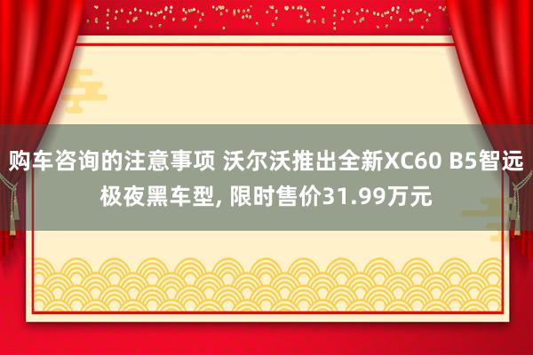 购车咨询的注意事项 沃尔沃推出全新XC60 B5智远极夜黑车型, 限时售价31.99万元